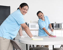 Office Cleaners