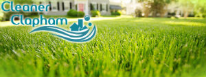 grass-cutting-services-clapham